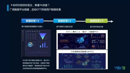 2018年中國OTT市場發展與營銷研究報告 數字廣告發布的全景透視